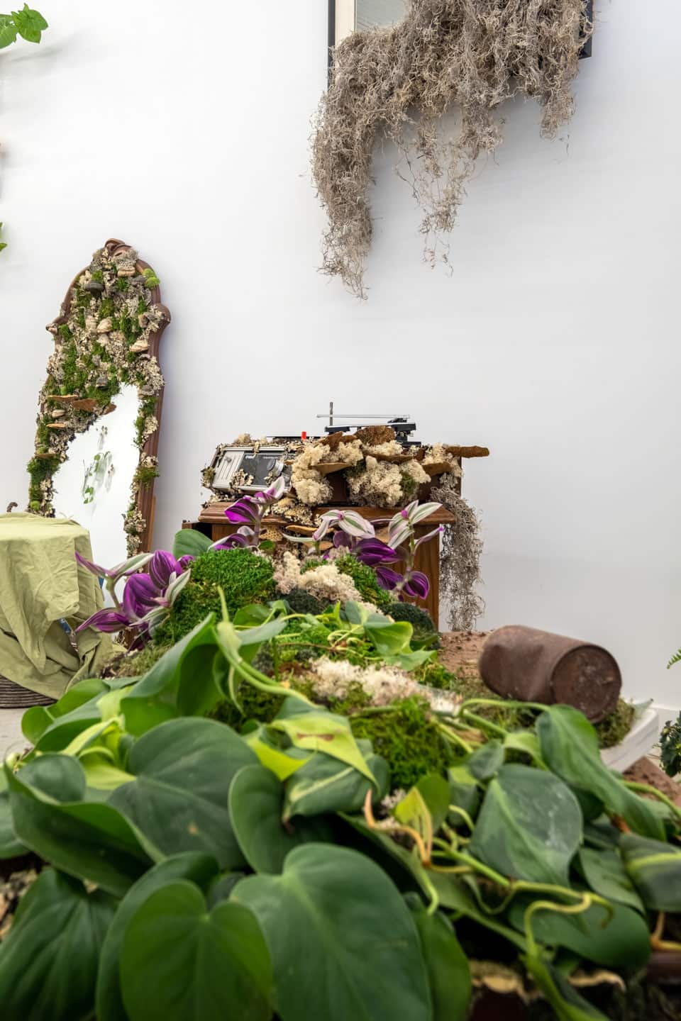 Peculiar Movements/Green Junctions at NAMARA projects